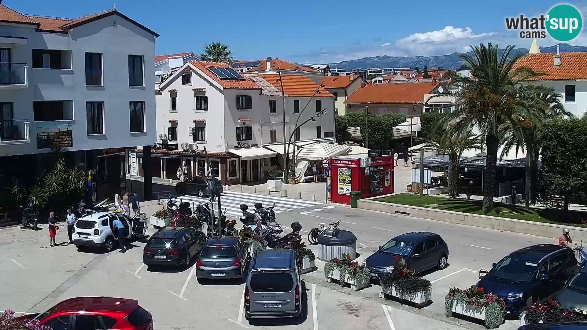 Promenade en Novalia Camera en vivo