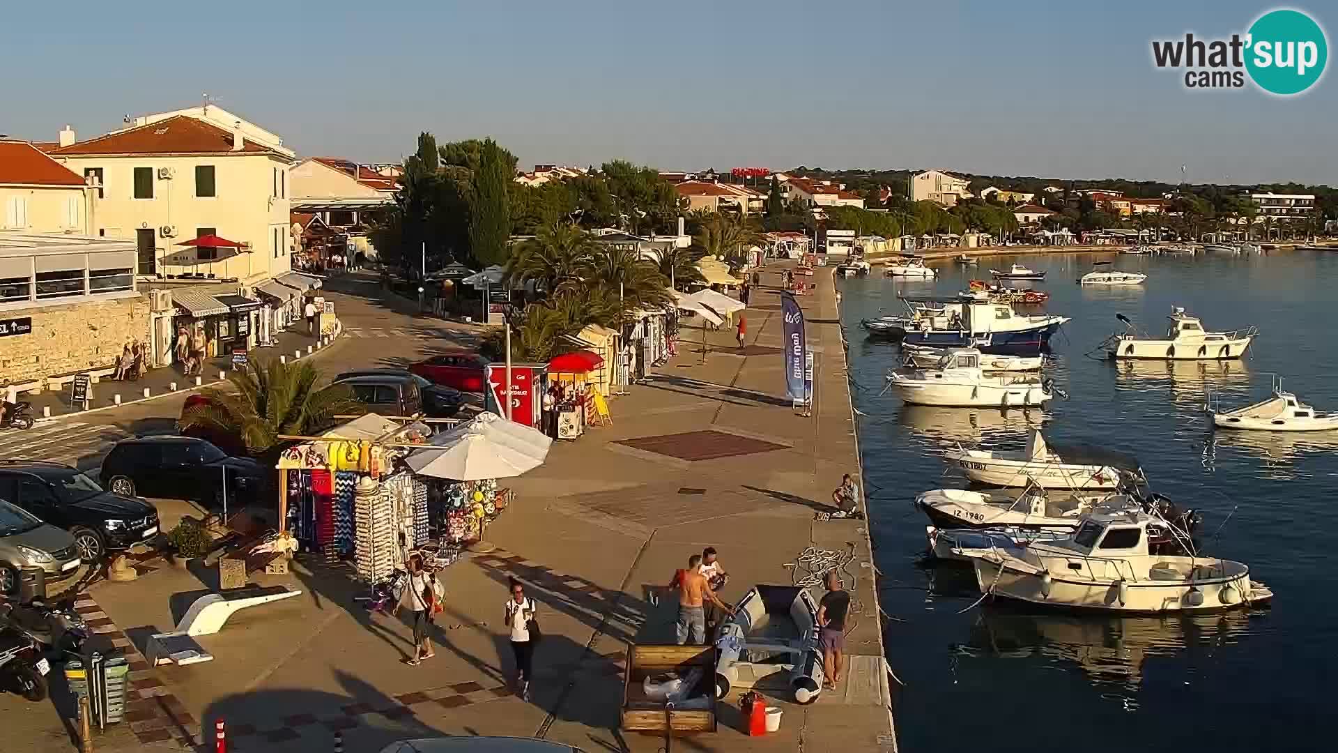 Promenade en Novalia Camera en vivo