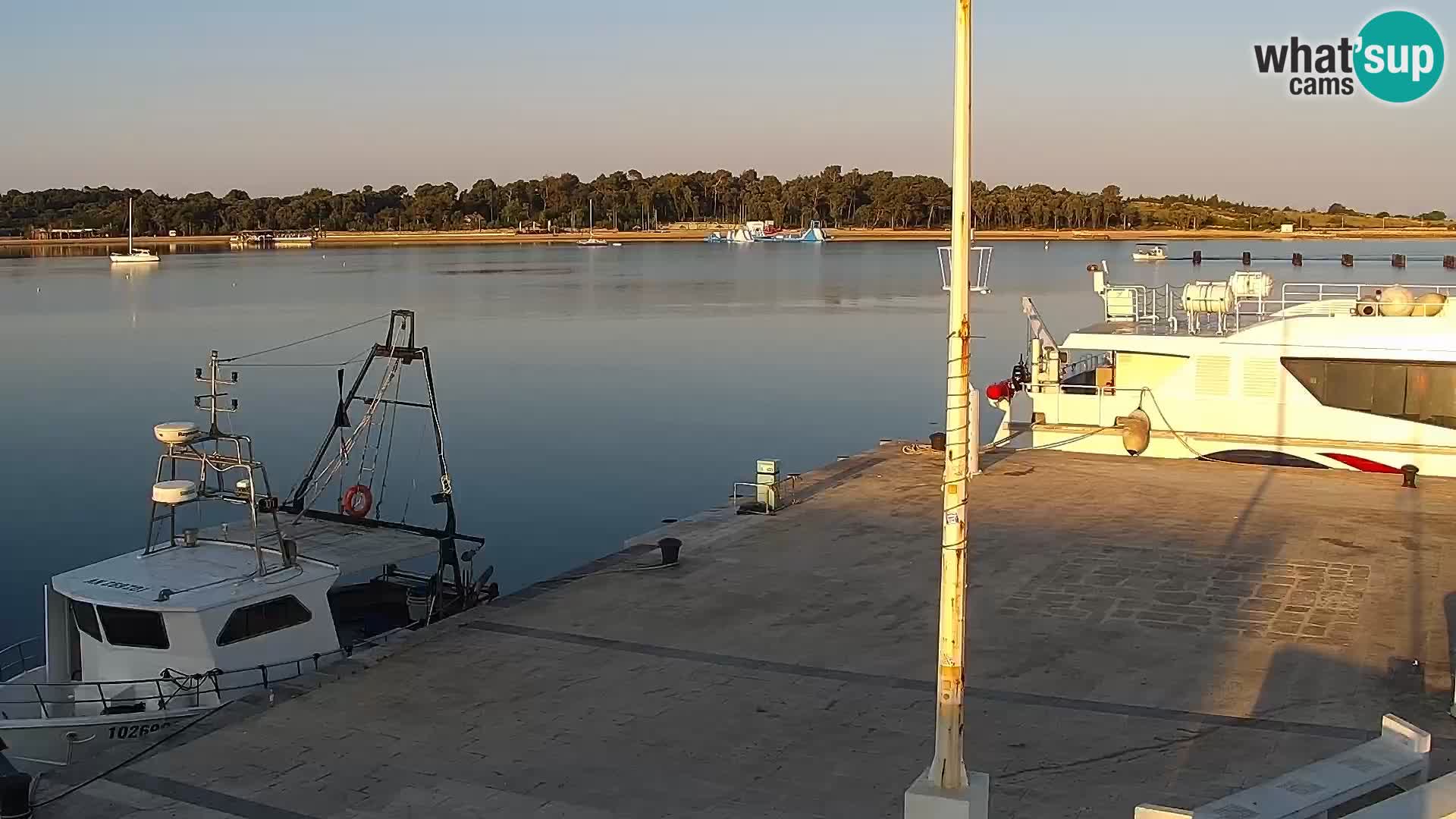 Webcam Novalja seaside promenade