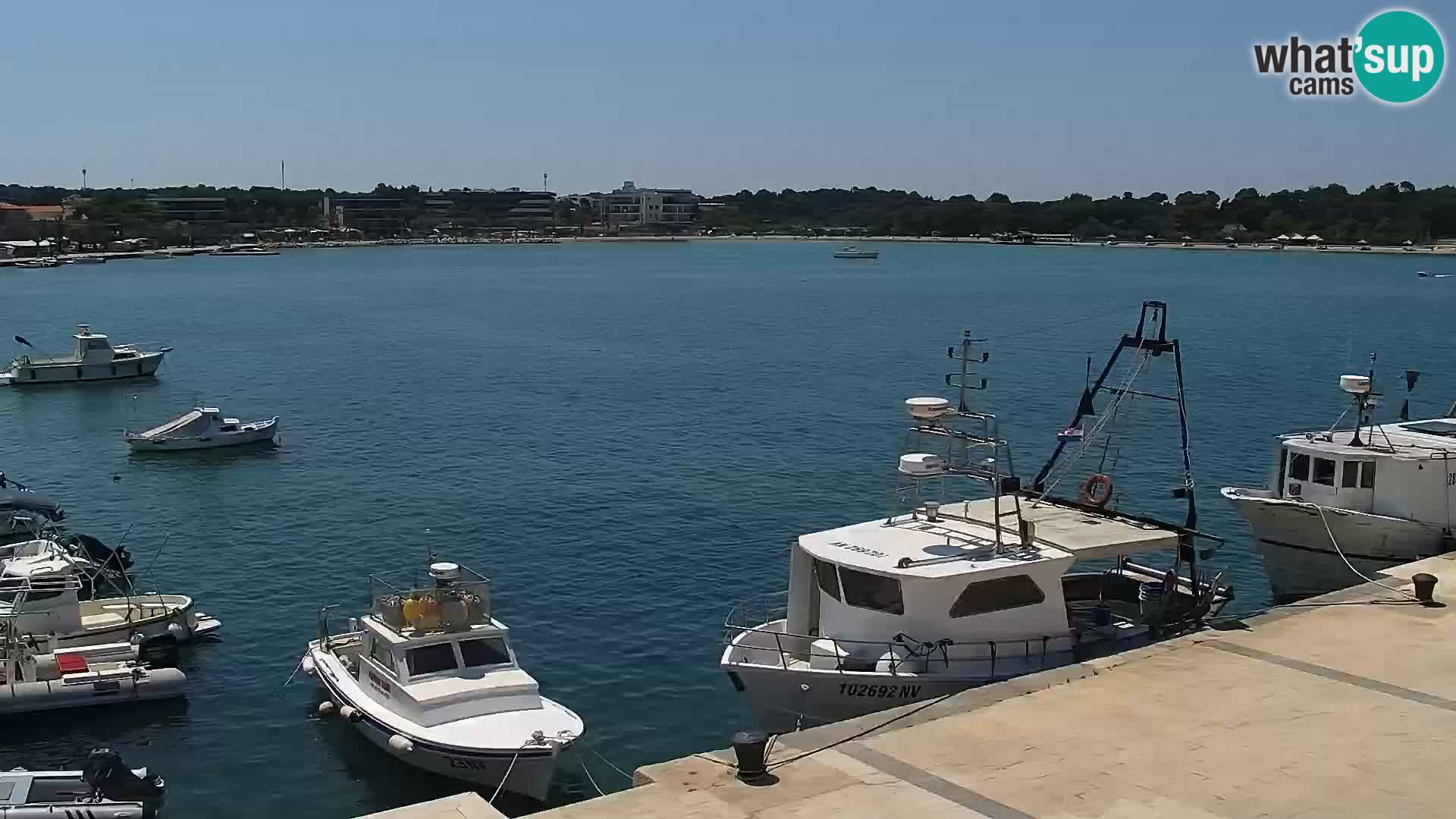 Webcam Novalja seaside promenade