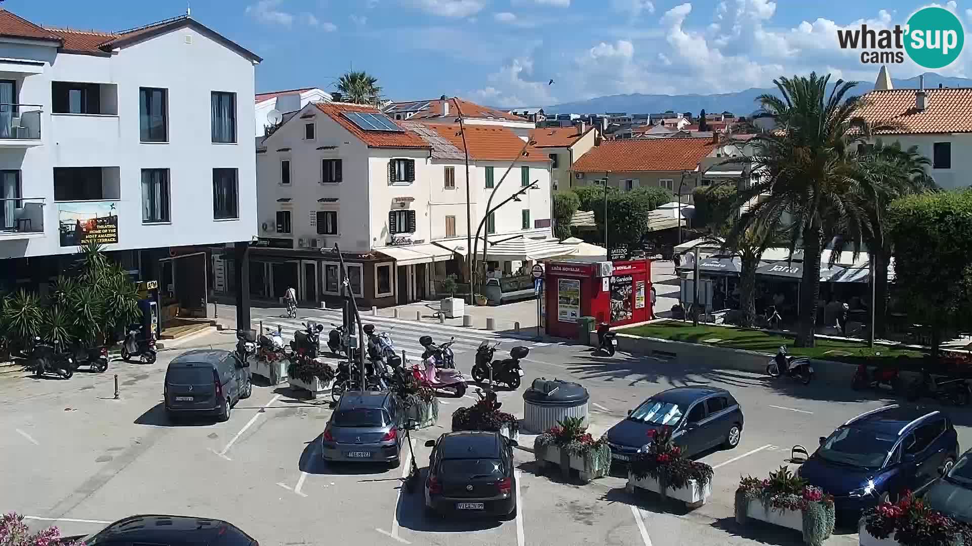 Promenade en Novalia Camera en vivo