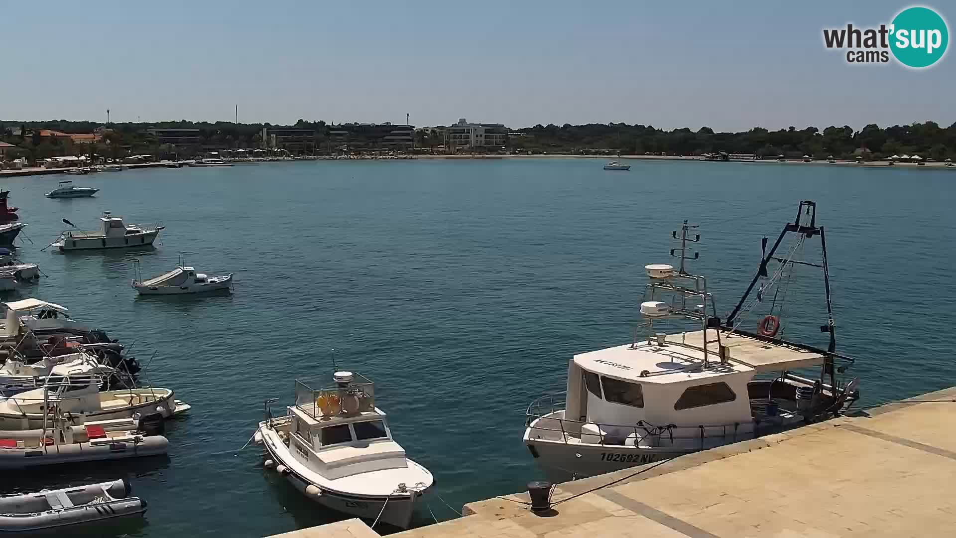 Livecam Promenade a Novalja