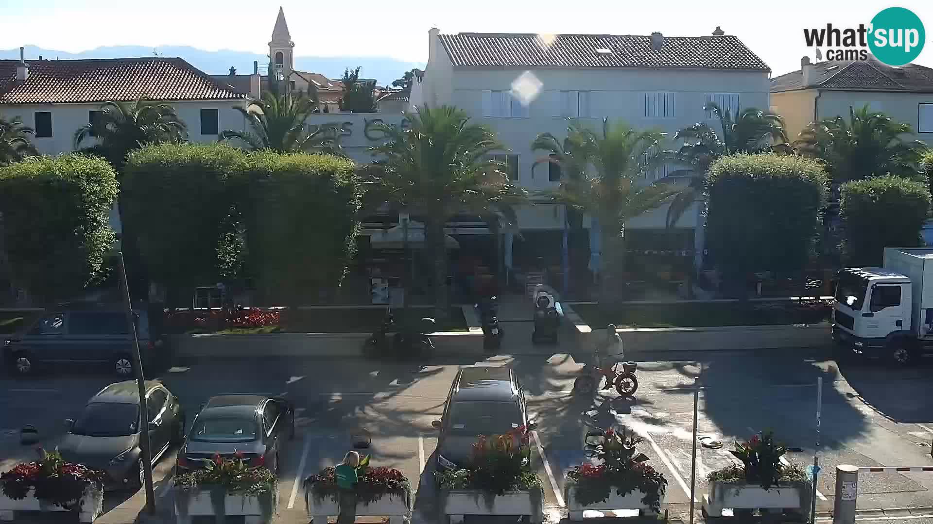 Promenade en Novalia Camera en vivo