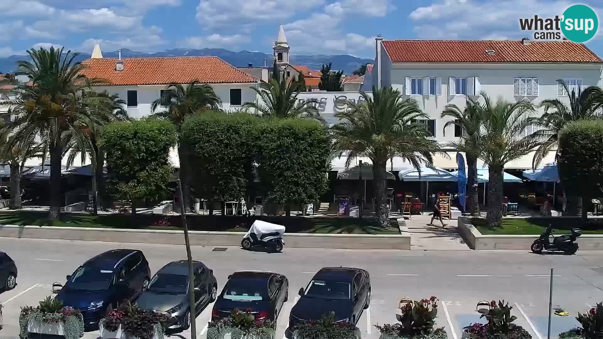 Promenade en Novalia Camera en vivo