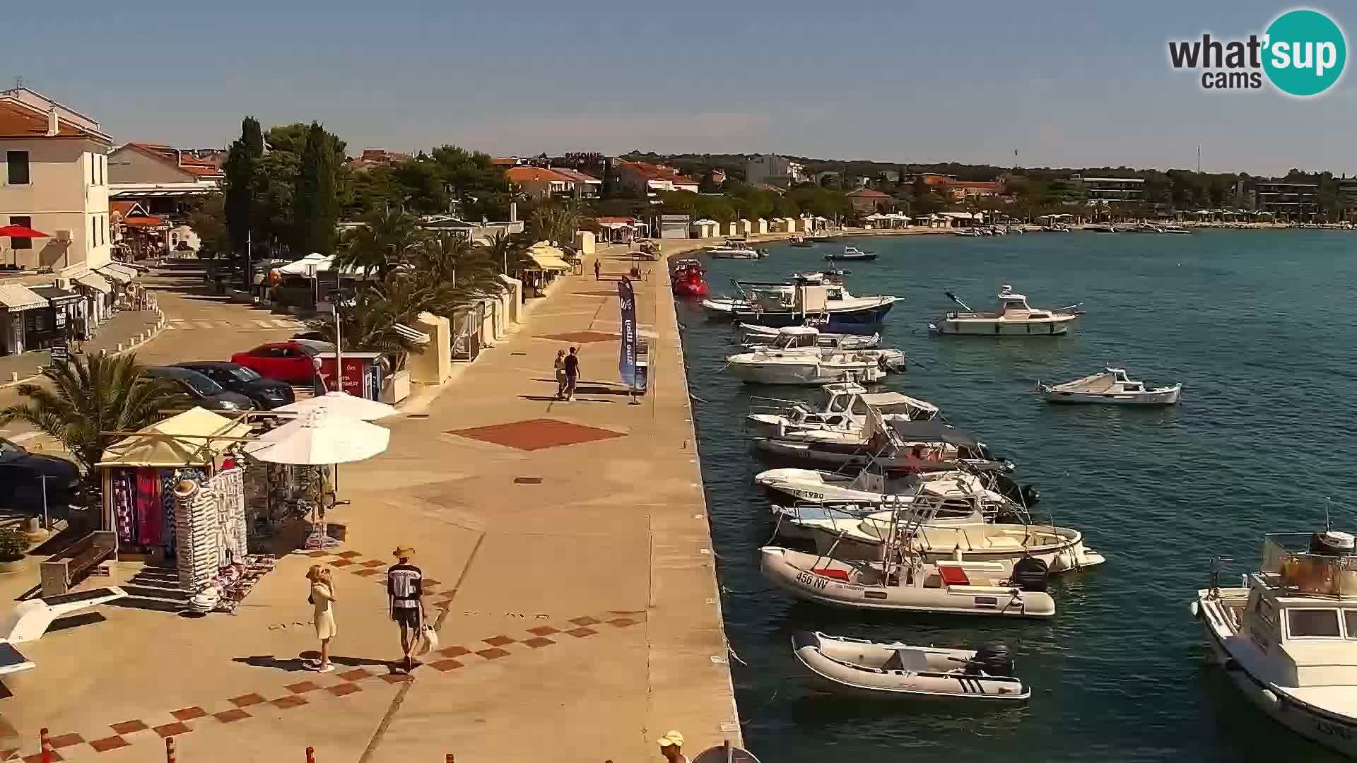 Promenade en Novalia Camera en vivo