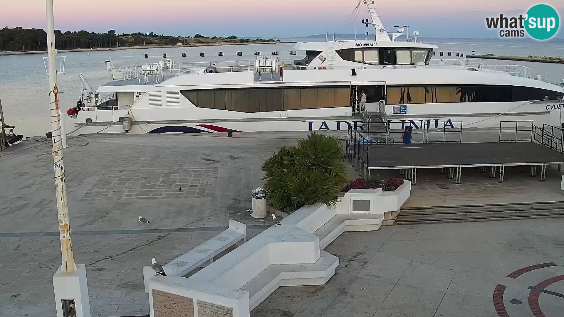 Novalja Livecam promenade
