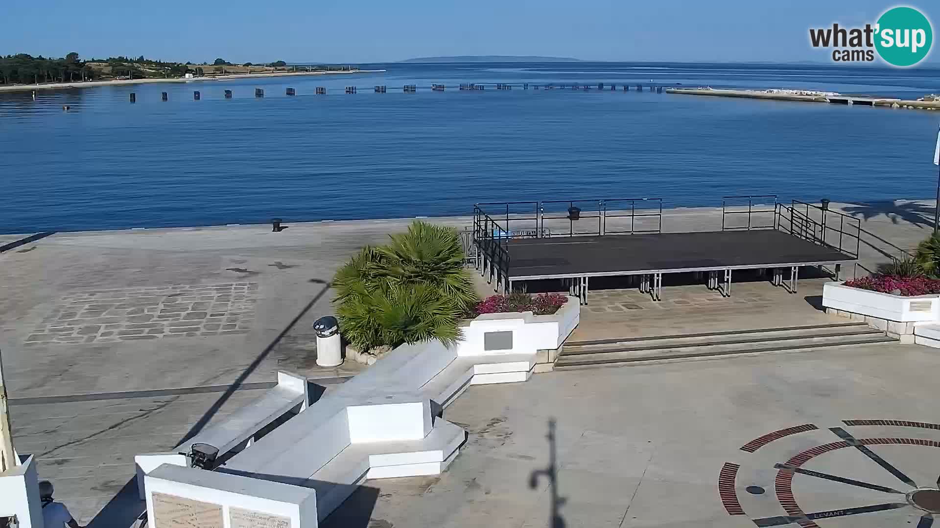 Promenade en Novalia Camera en vivo