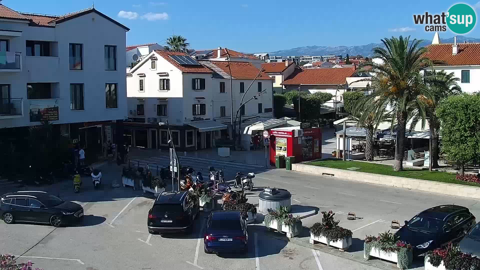 Promenade en Novalia Camera en vivo