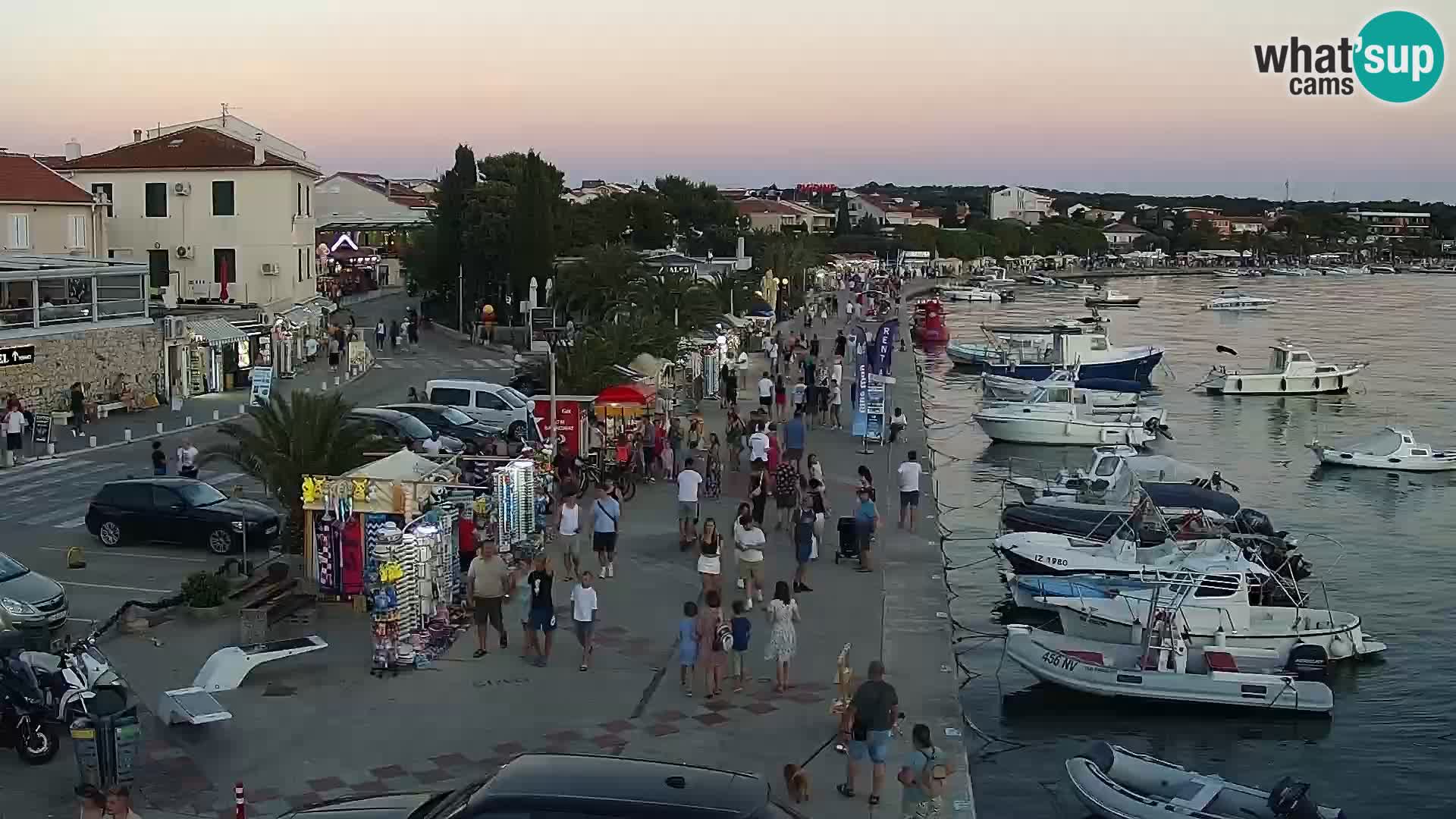 Promenade en Novalia Camera en vivo