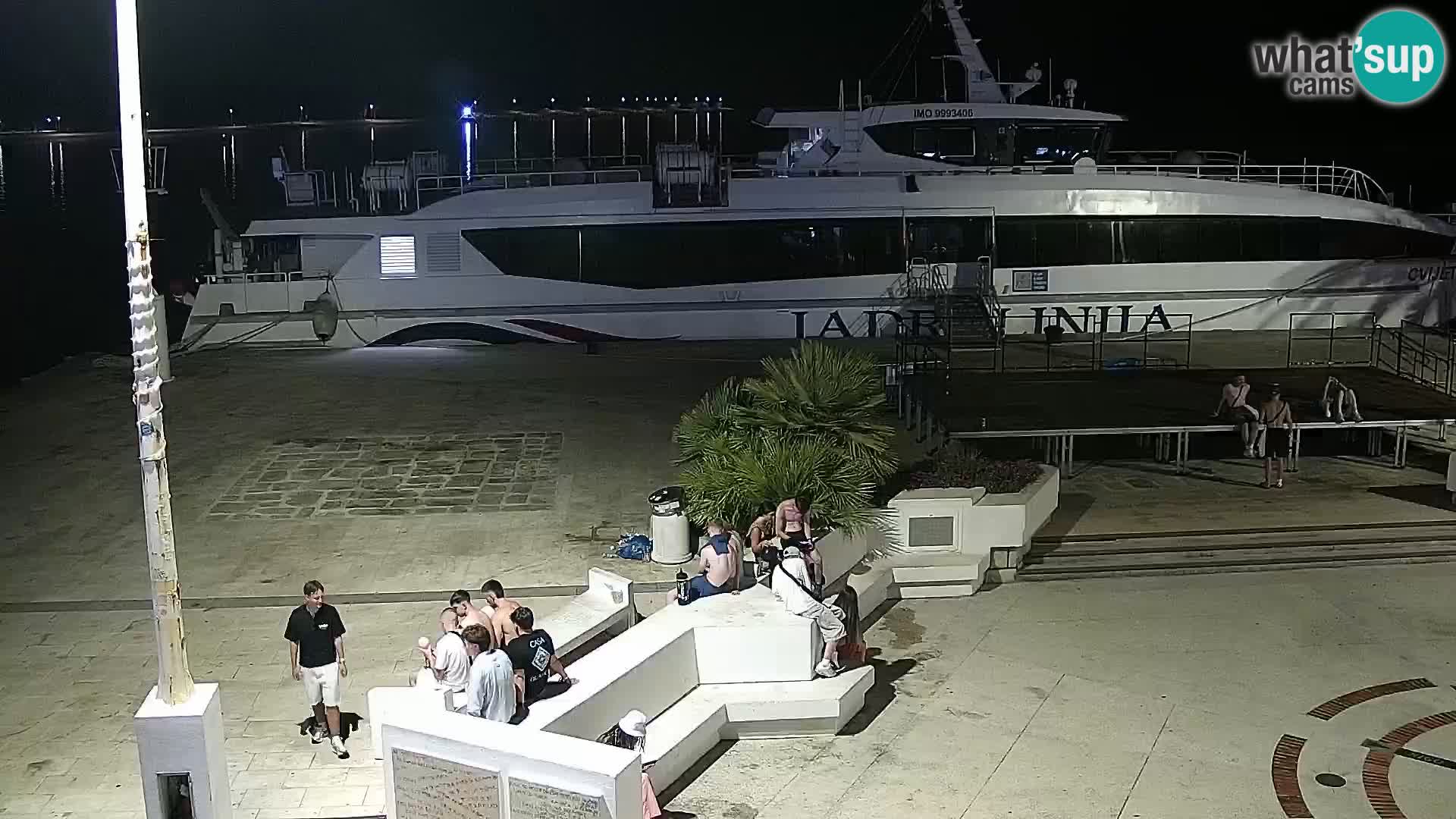 Promenade en Novalia Camera en vivo