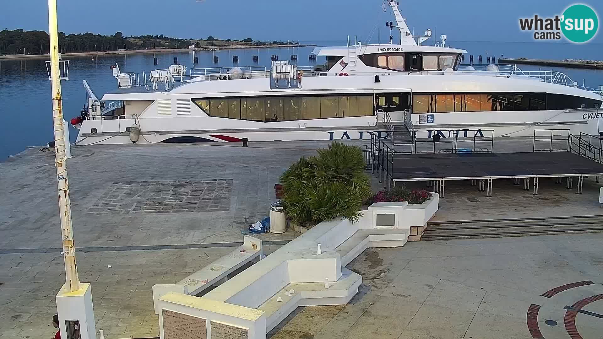 Livecam Promenade a Novalja