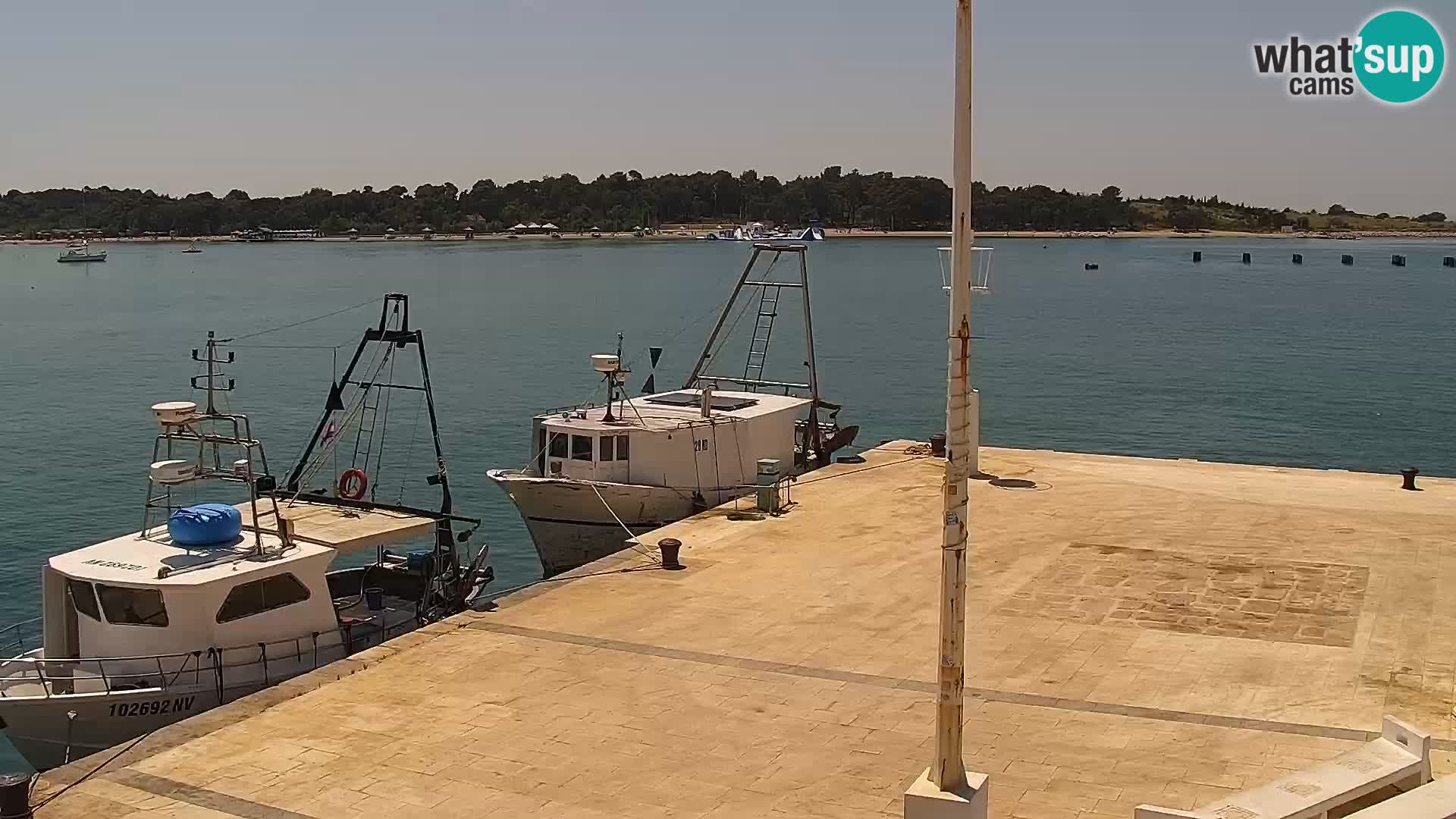 Webcam Novalja seaside promenade