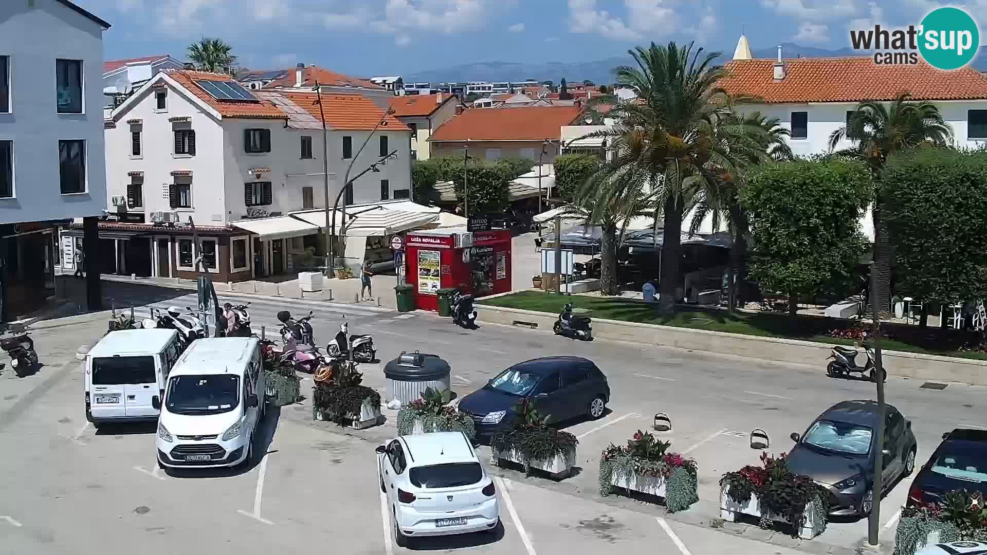 Promenade en Novalia Camera en vivo