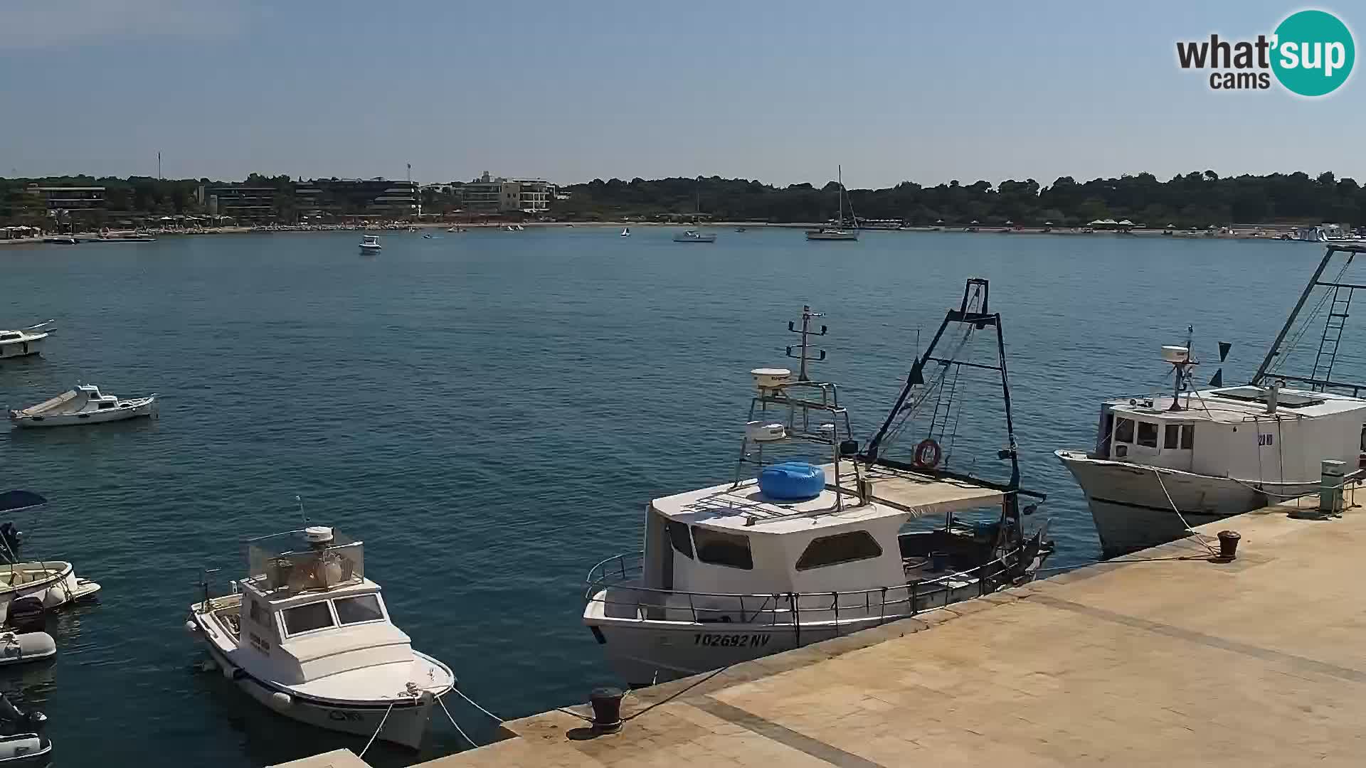 Livecam Promenade a Novalja