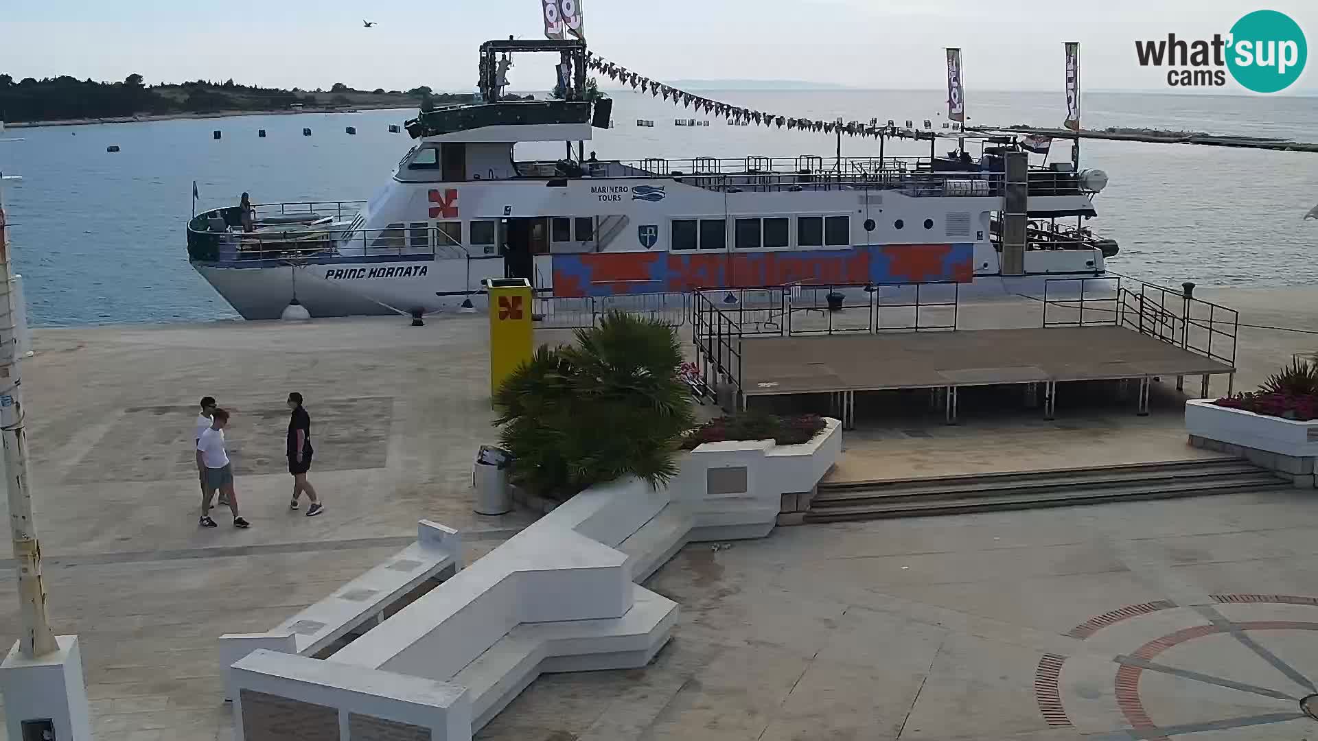 Promenade en Novalia Camera en vivo