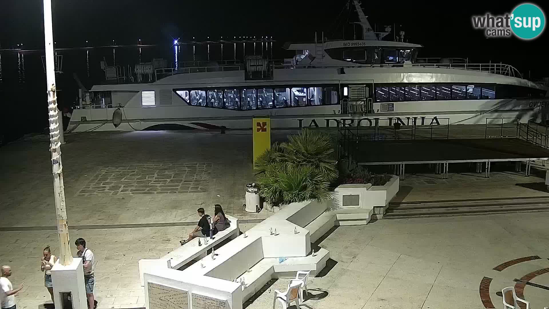Promenade en Novalia Camera en vivo
