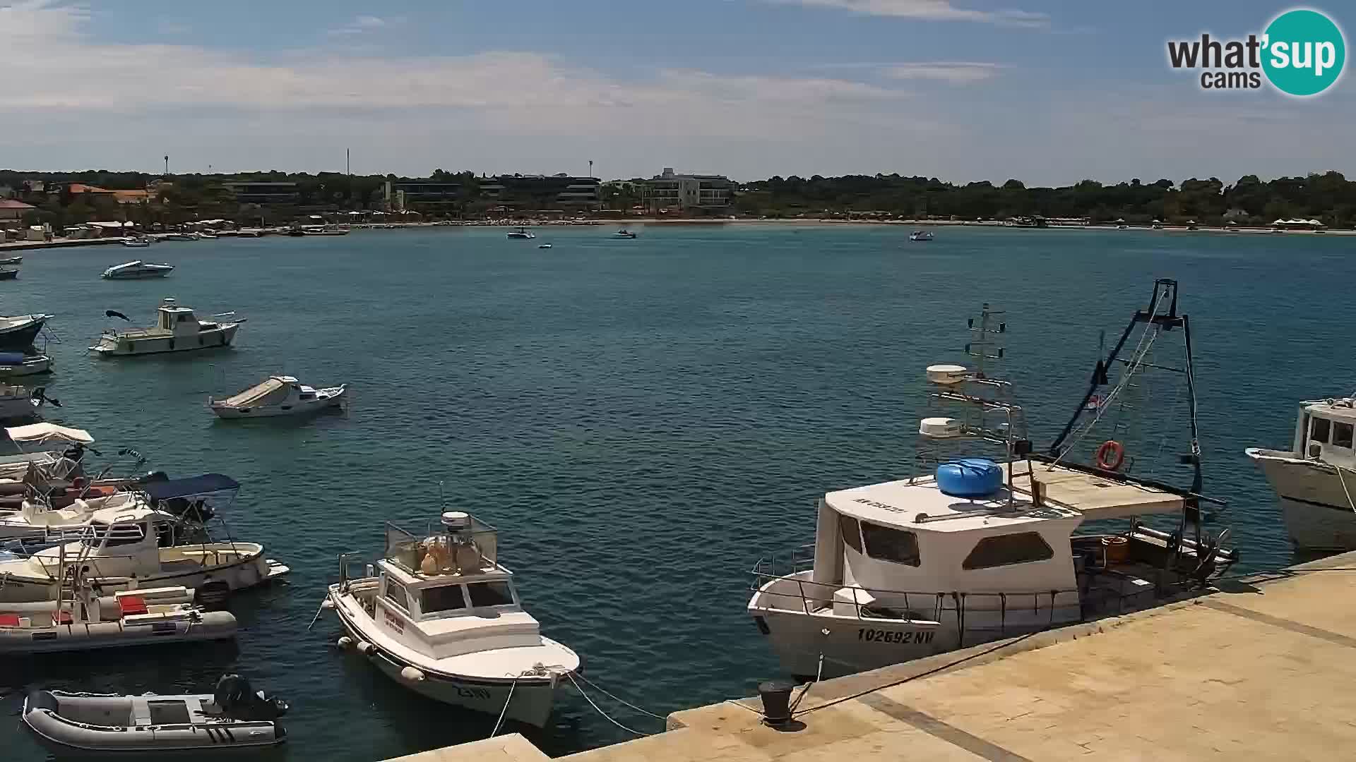 Webcam Novalja seaside promenade