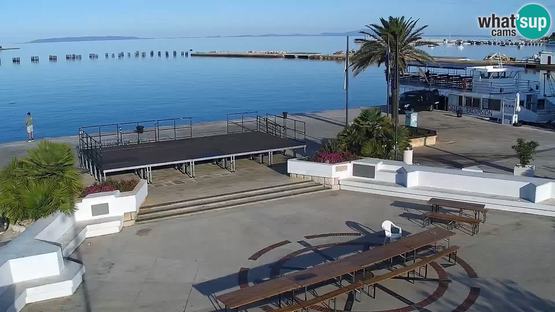Promenade en Novalia Camera en vivo