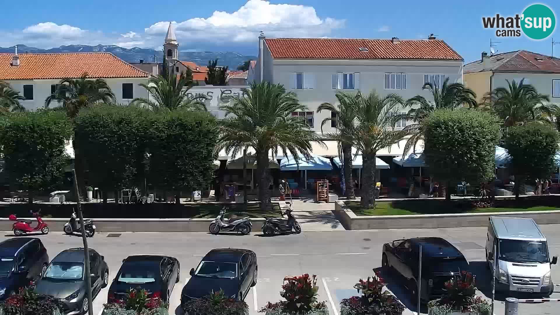 Promenade en Novalia Camera en vivo