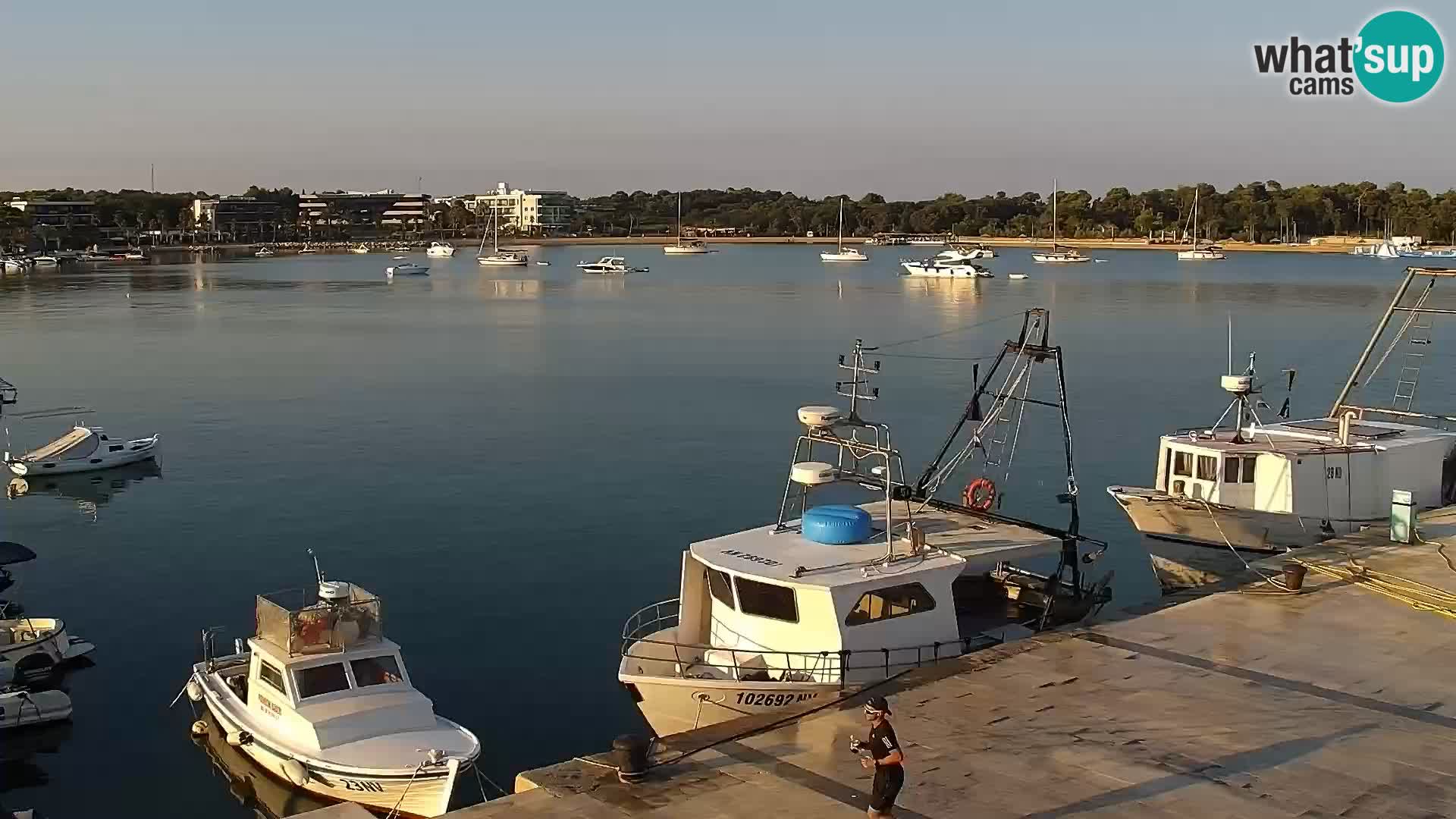 Webcam Novalja seaside promenade