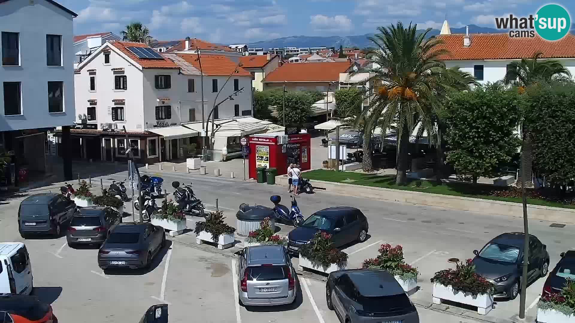 Promenade en Novalia Camera en vivo