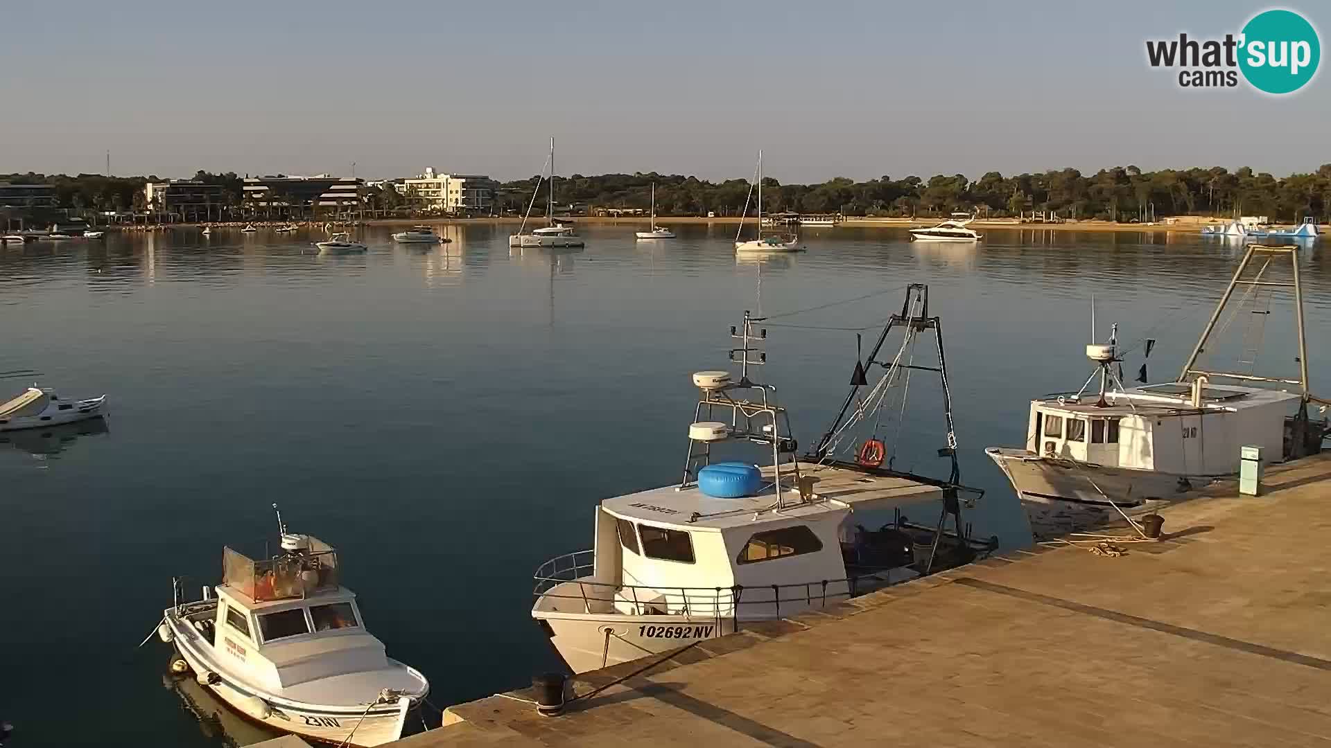 Webcam Novalja seaside promenade