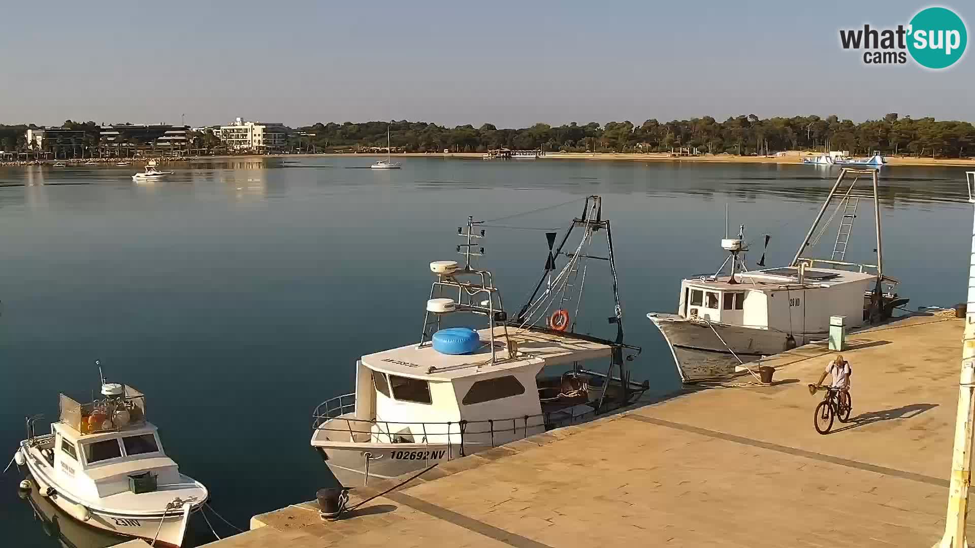 Livecam Promenade a Novalja