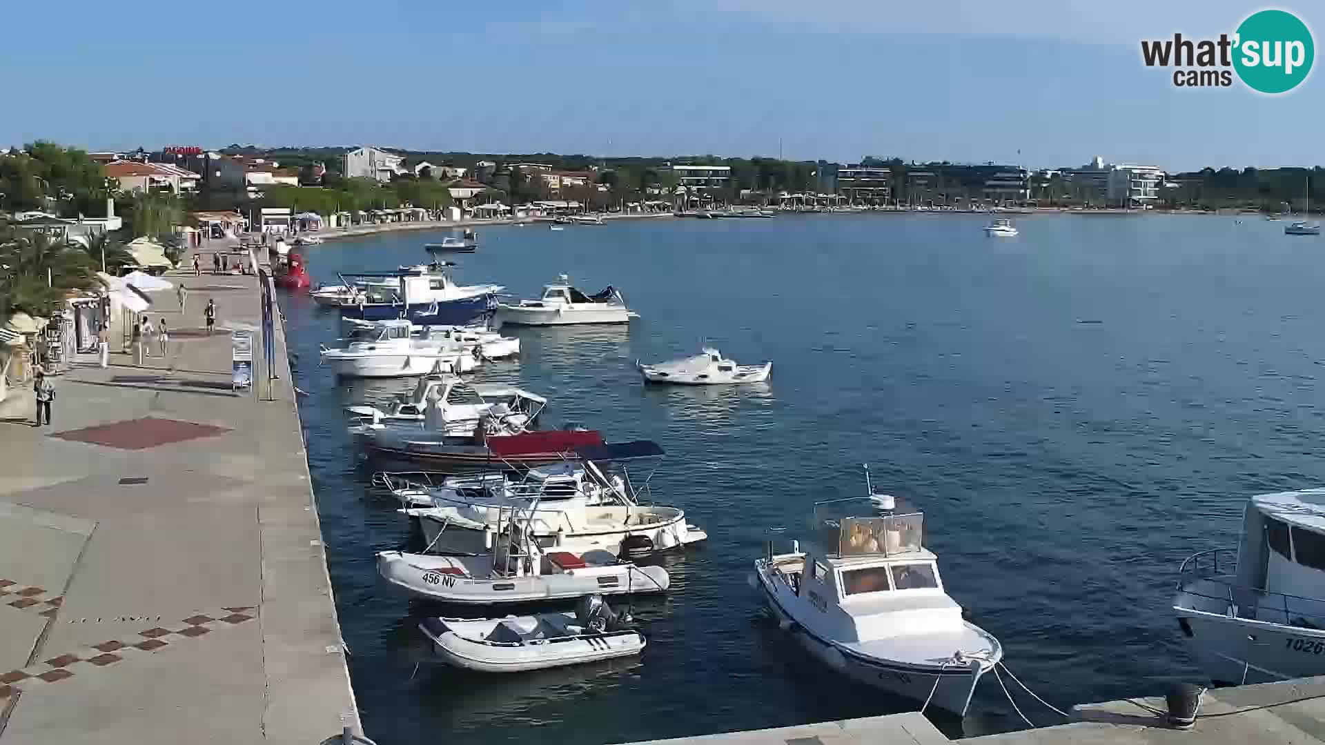 Novalja Livecam promenade