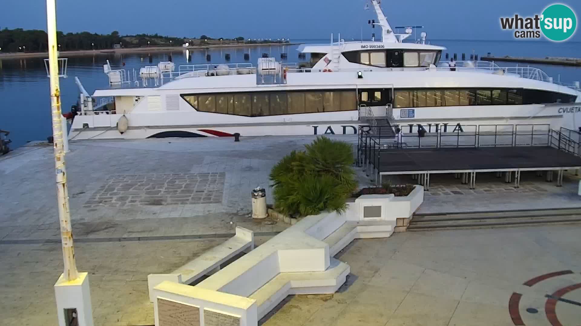 Webcam Novalja seaside promenade
