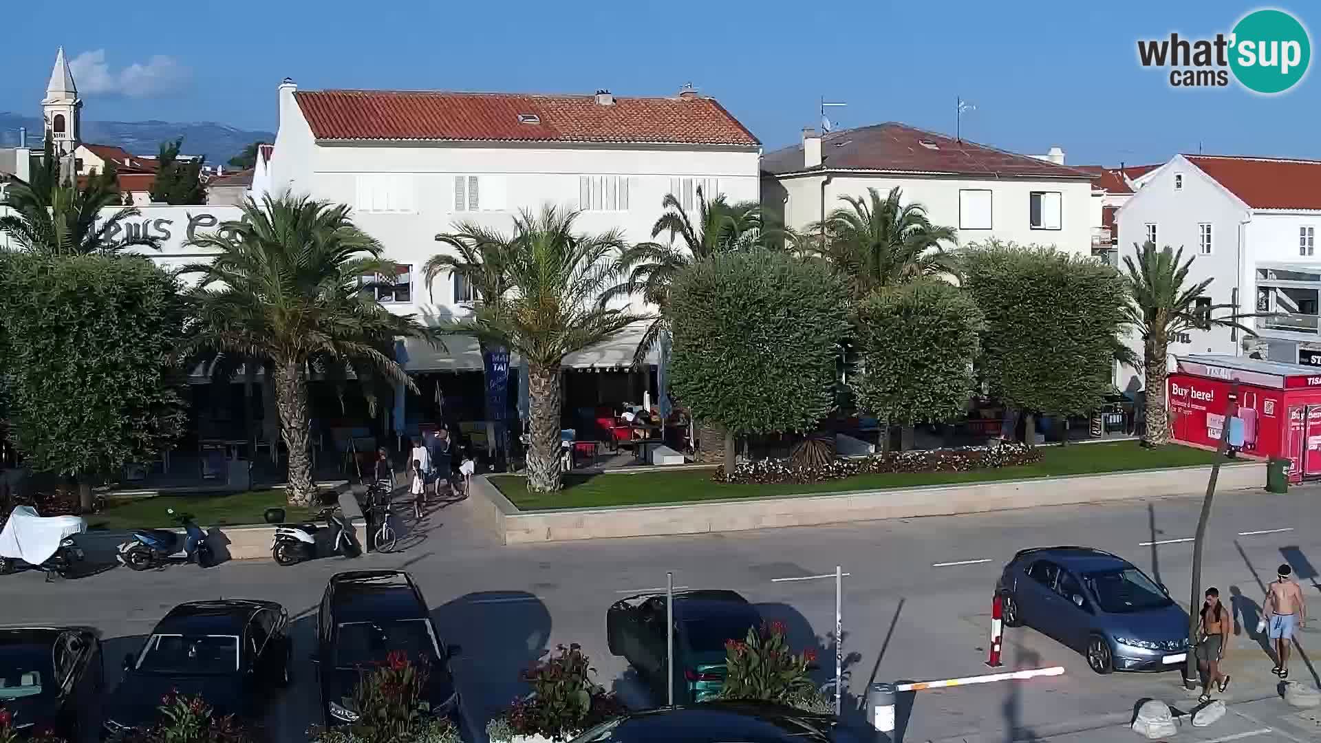 Promenade en Novalia Camera en vivo