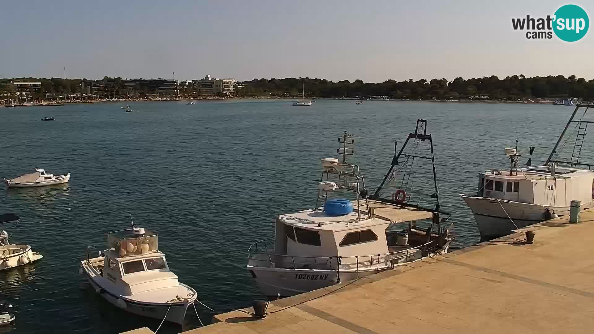 Livecam Promenade a Novalja