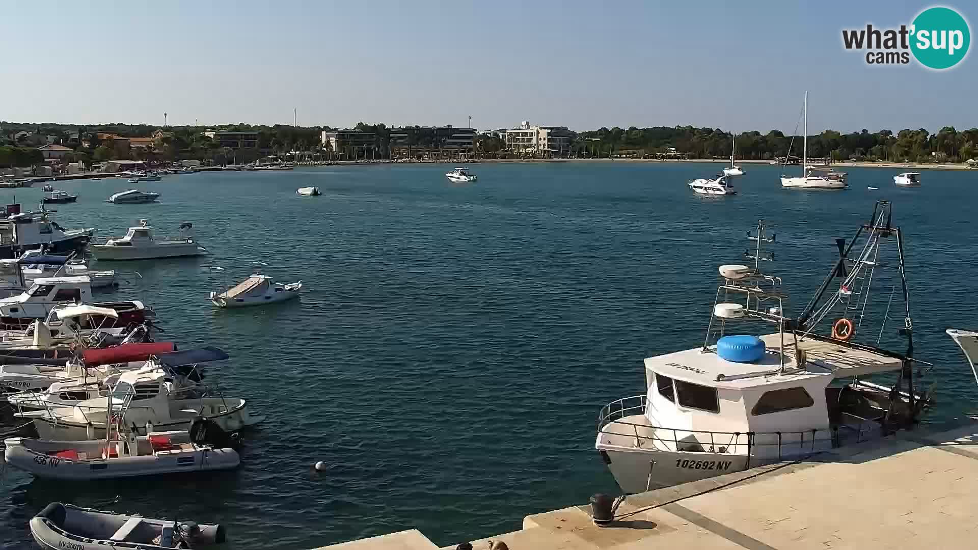 Webcam Novalja seaside promenade