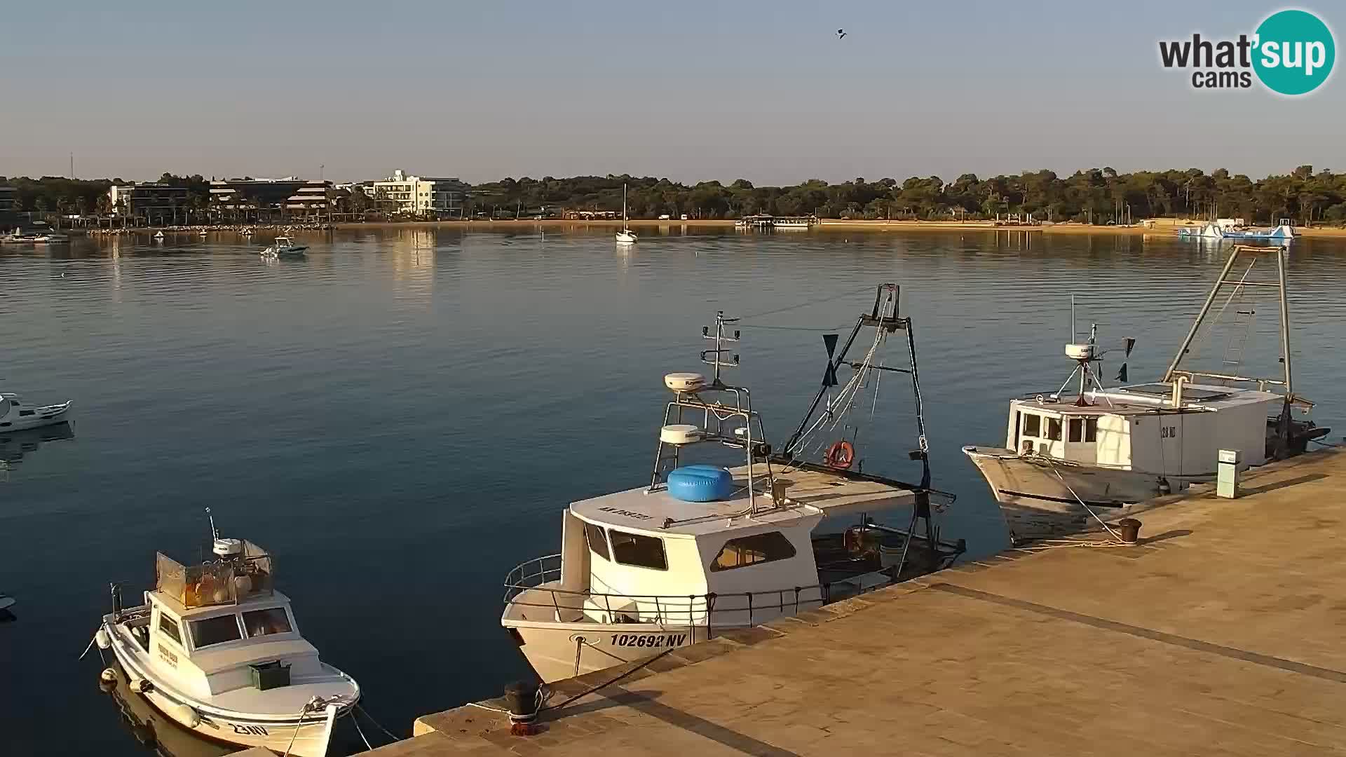 Livecam Promenade a Novalja
