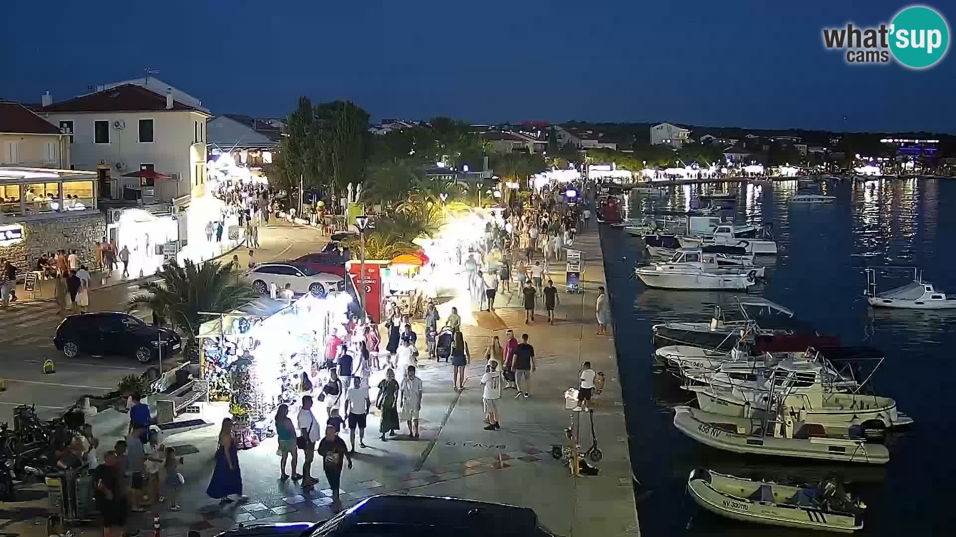 Promenade en Novalia Camera en vivo