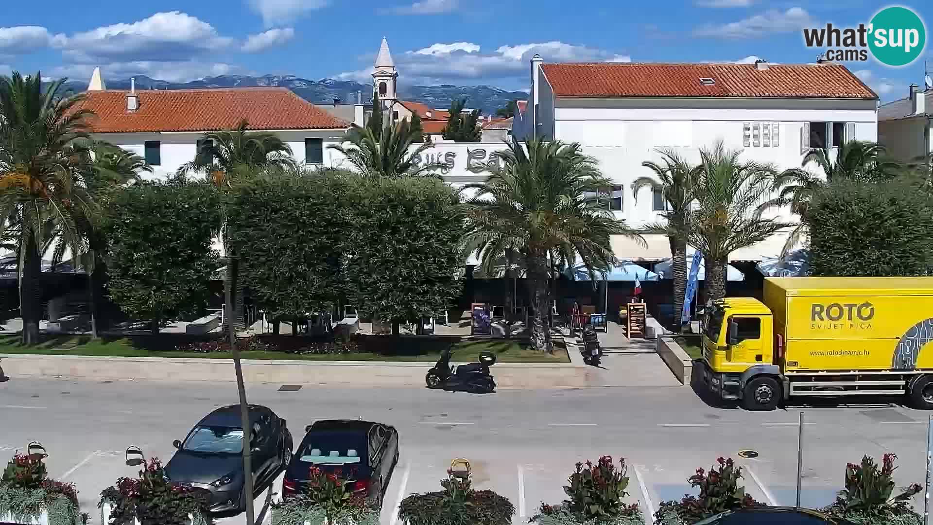 Promenade en Novalia Camera en vivo