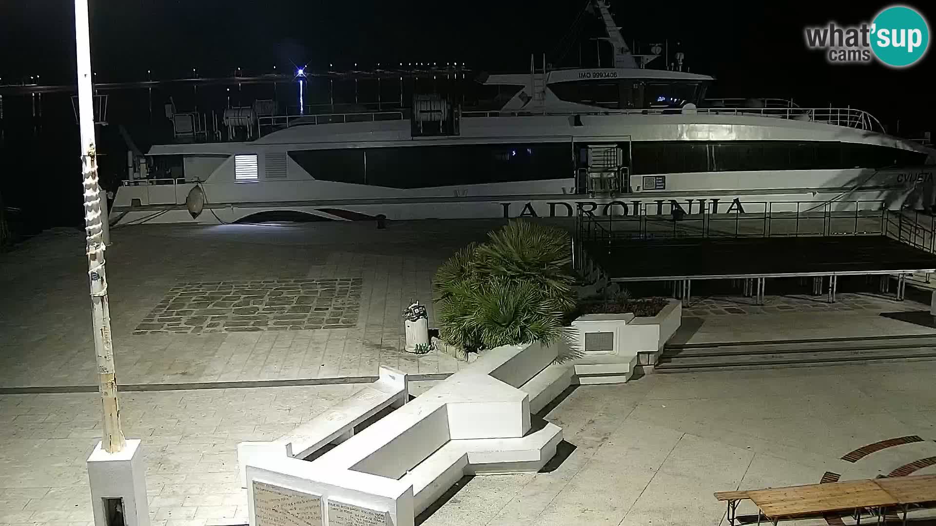 Promenade en Novalia Camera en vivo