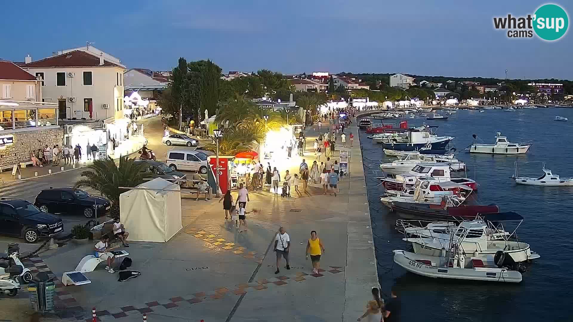 Promenade en Novalia Camera en vivo