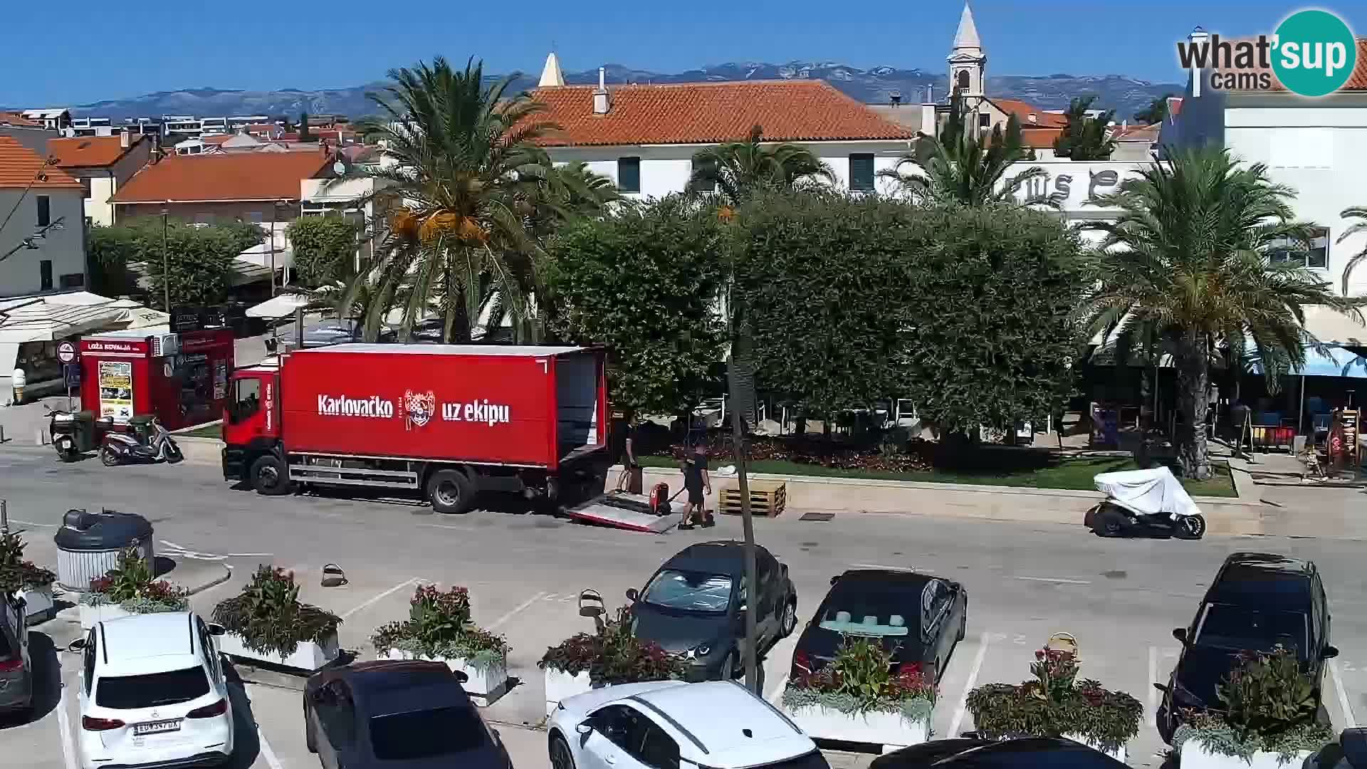 Promenade en Novalia Camera en vivo