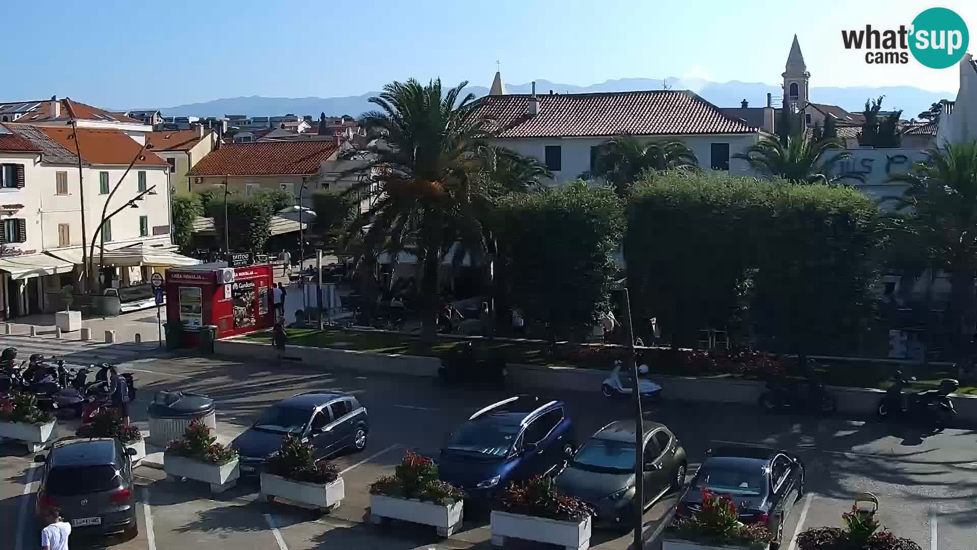 Promenade en Novalia Camera en vivo