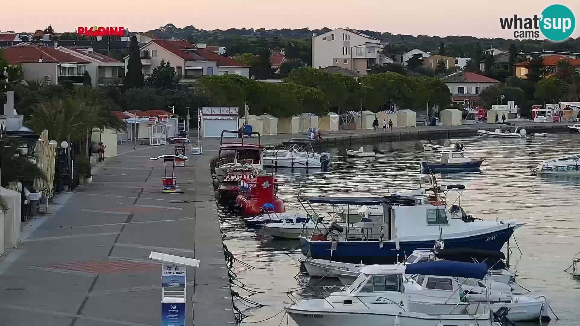 Promenade en Novalia Camera en vivo