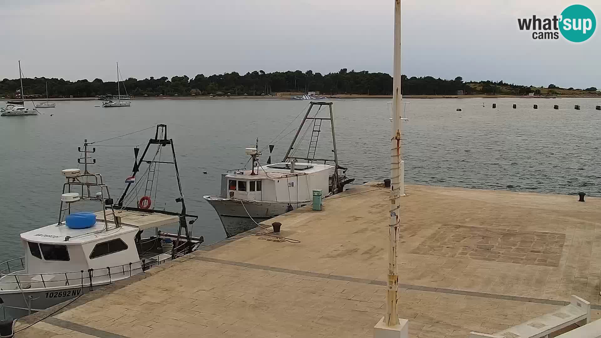 Webcam Novalja seaside promenade