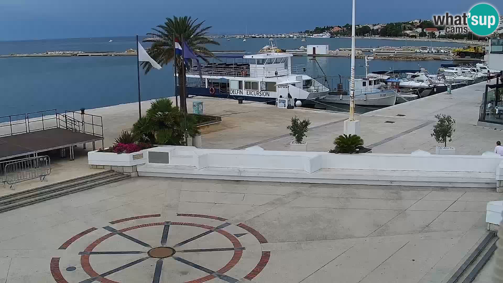 Promenade en Novalia Camera en vivo
