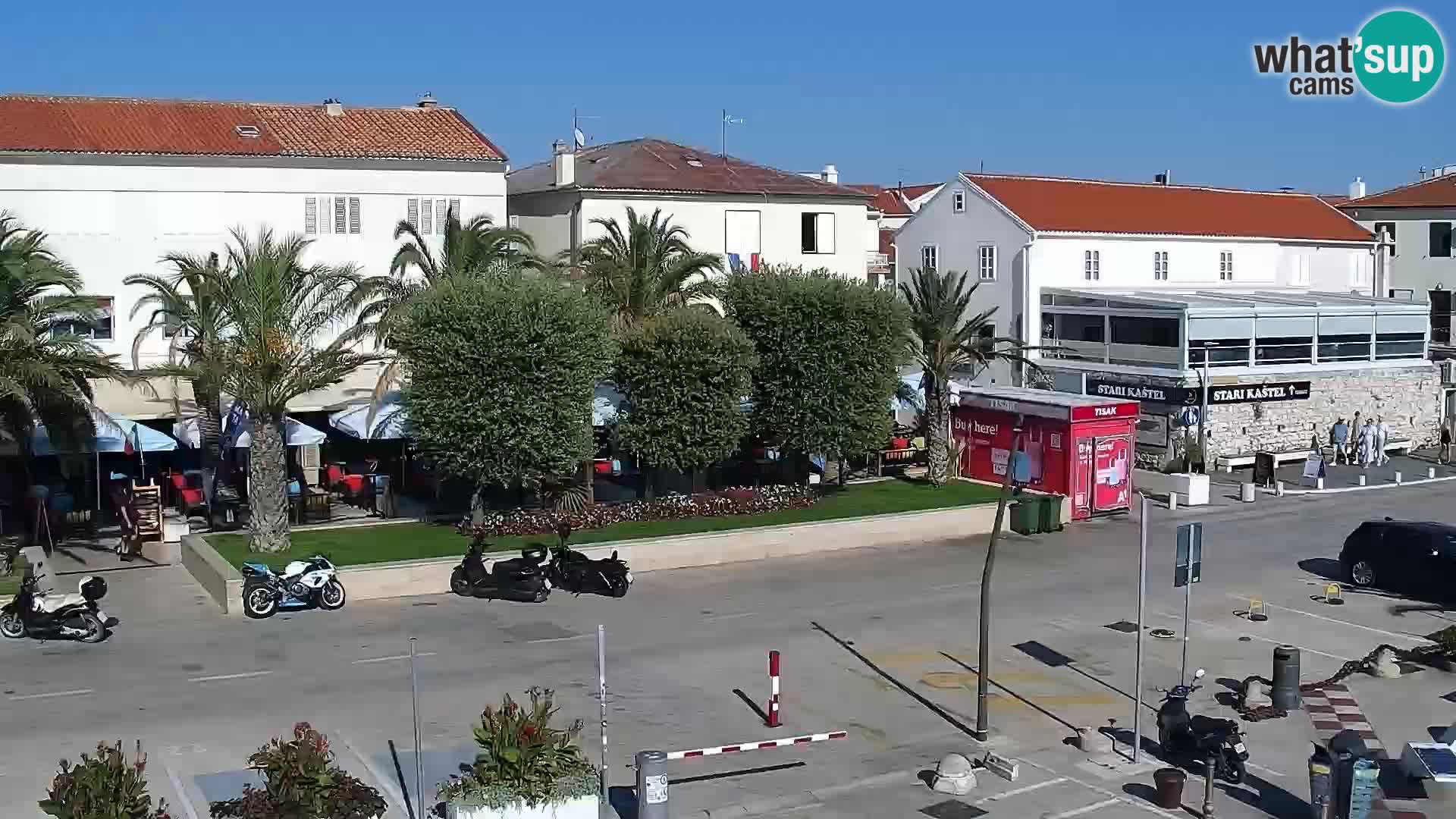 Promenade en Novalia Camera en vivo