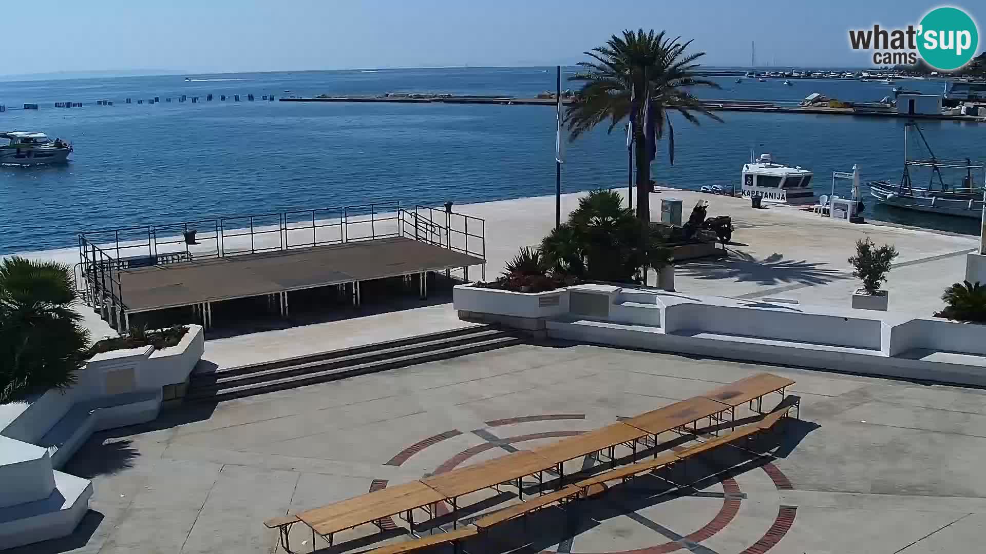 Promenade en Novalia Camera en vivo