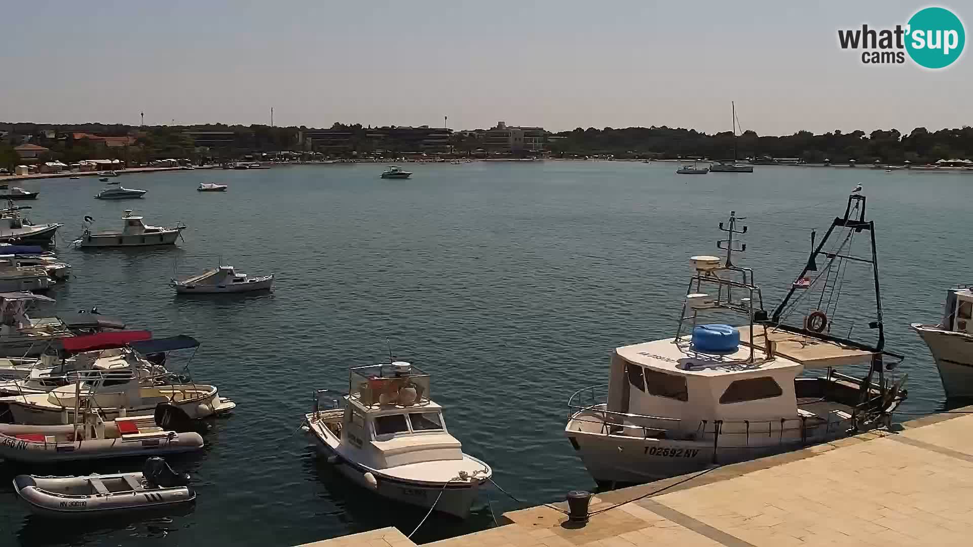 Webcam Novalja seaside promenade