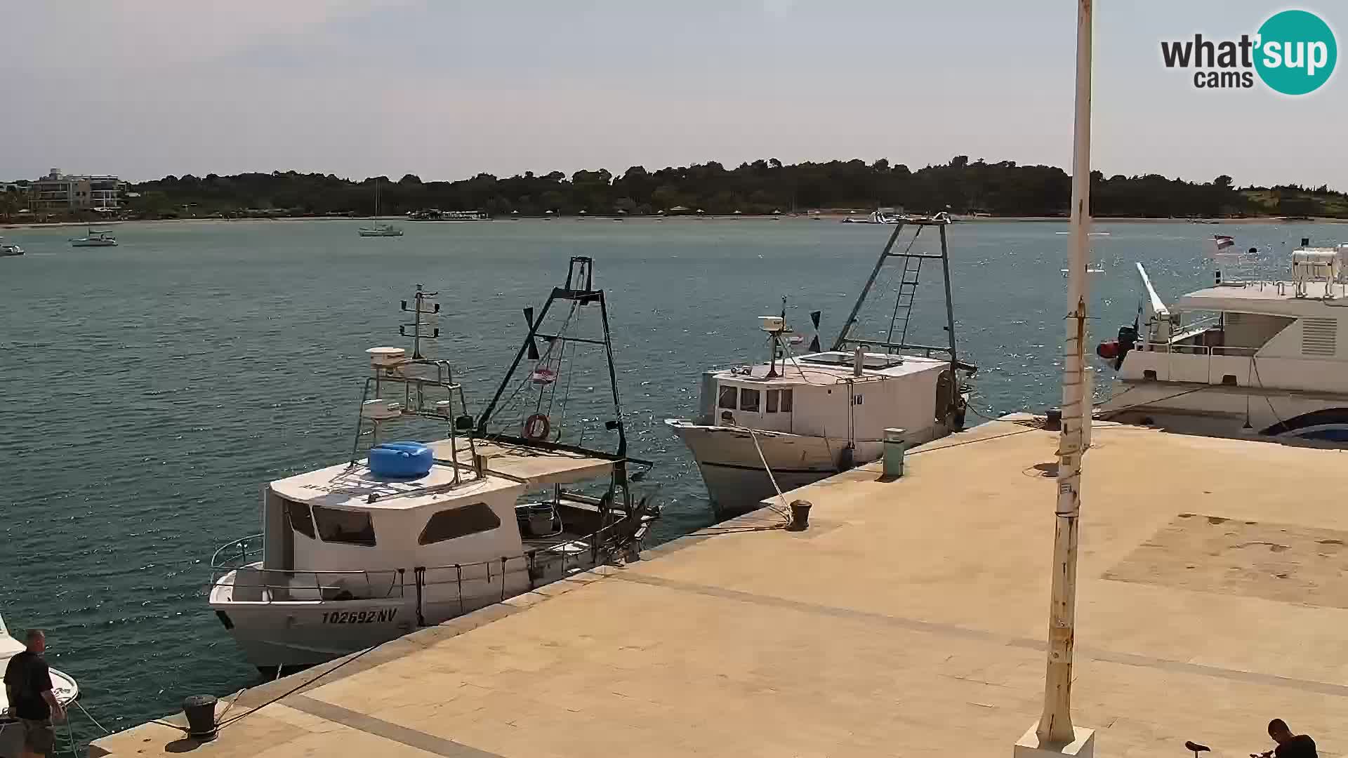 Webcam Novalja seaside promenade