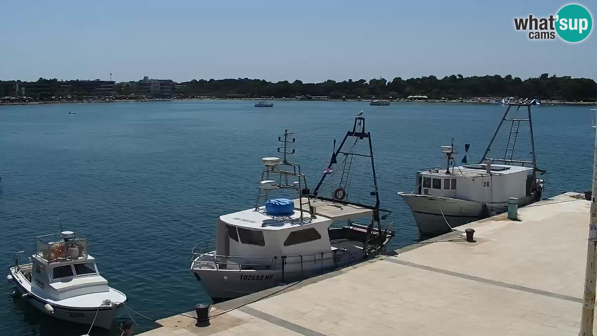 Web kamera Novalja promenada