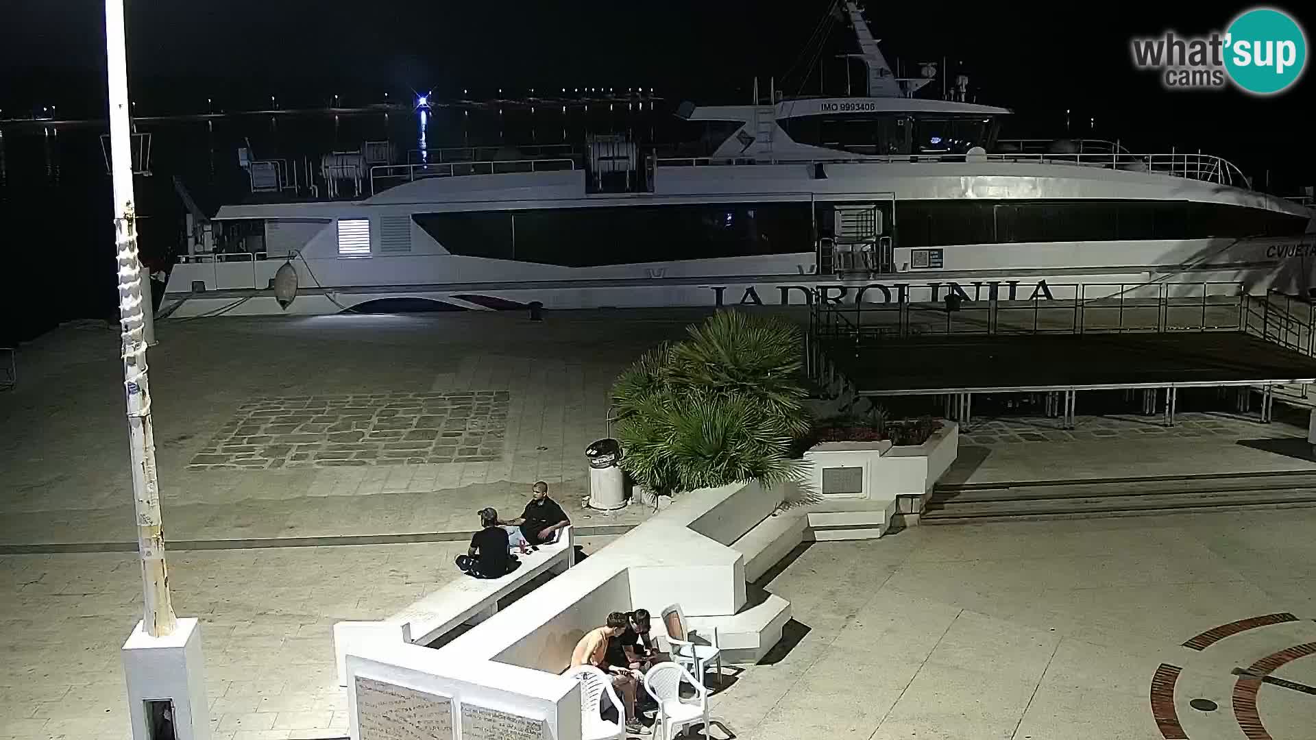 Promenade en Novalia Camera en vivo