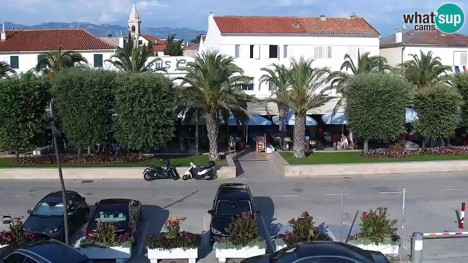 Promenade en Novalia Camera en vivo