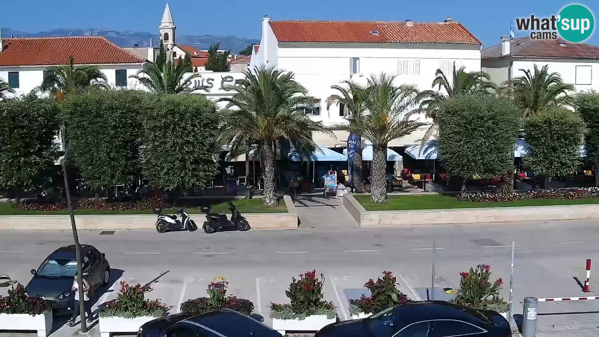 Promenade en Novalia Camera en vivo